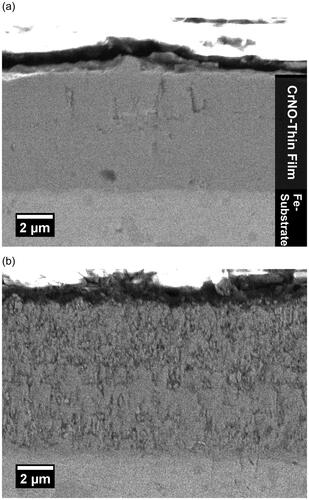 Figure 10. SEM images of cross-section of thin CrON films: (a) without nanoparticles and (b) with embedded nanoparticles (synthesis conditions: 50% argon in nitrogen, ϕNP = 20%vol).