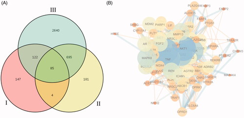 Figure 3. (A) Overlapping genes among 342 compounds-related genes (I), 281 MI-related genes from DisGeNet database (II) and 4643 MI-related genes from Genecards database (III). (B) A PPI network of candidate HXP targets for MI treatment extracted from the interactive PPI network of HXP putative targets and known MI-related targets.