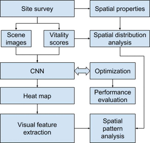 Figure 1. Study workflow