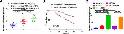 Figure 1. LINC00641 is augmented in DDP-resistant OS tissues and cell lines, and its elevation heralds unpleasing prognosis. (a) RT-qPCR to detect LINC00641 in normal tissues and DDP-sensitive or drug-resistant cancer tissues; (b) Kaplan-Meier method to analyze the function of LINC00641 in OS prognosis; (c) RT-qPCR to examine LINC00641 in hFOB1.19 cells, OS cells and OS DDP-resistant cell lines. *P < 0.05.