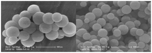 Figure 1 Scanning electron microscopic images of amino-modified silicon nanoparticles.Note: Bars, 500 nm.