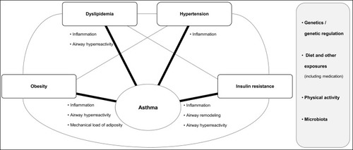 Figure 1 Schematic representation of the metabolic syndrome-asthma link.