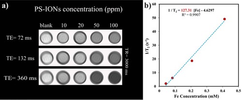 Figure 6 (a) T2-weighted MR images of PS-IONs in aqueous media at various concentrations and different echo times. (b) T2 relaxation rate (R2) versus iron concentration in PS-IONs.