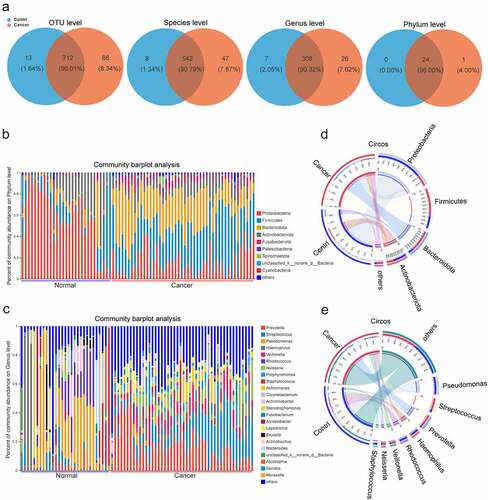 Figure 1. The profiles of lung microbiome composition in the control and lung cancer groups. (a). Venn diagrams show the numbers of microbiota at OTUs, species, genera, phyla commonly shared between both control and lung cancer groups. (b, c) Heatmaps show the relative frequency of lung microbiota at the phylum (b) and genus levels (c) in each sample. (d, e). Circos show the composition of lung microbiota between the control and lung cancer groups at the phylum (d) and genera (e) levels. The red and blue dots represent the cancer and control samples, respectively.