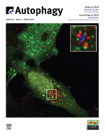 Cover image for Autophagy, Volume 7, Issue 3, 2011