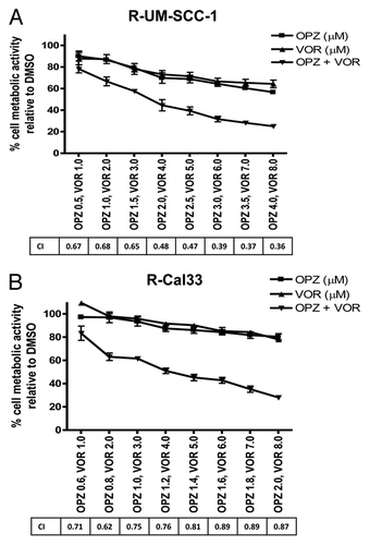 Figure 5. Oprozomib (OPZ) synergizes with vorinostat in resistant HNSCC cells. Triplicate wells of R-UMSCC-1 (A) and R-Cal33 (B) cells were treated for 48 h with OPZ or VOR alone, or with fixed ratios of the OPZ/VOR combination, followed by performance of MTT assays and determination of CI values. Error bars represent standard deviations. Representative data from three independent experiments is shown.
