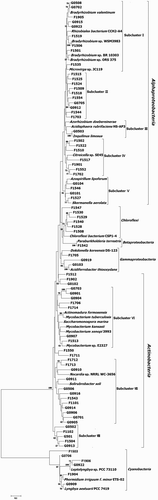 Figure 2. Neighbor-joining phylogenetic tree of red-like cbbL genes in the grazing and fenced grassland soils.