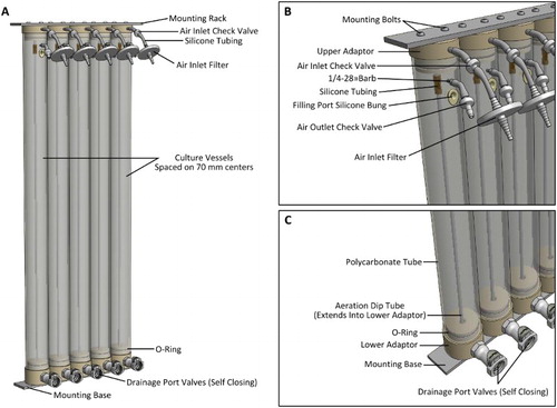 Figure 4. The large scale growth system. A, Five tube modules mounted to aluminium alloy racks; B, close-up of the upper adaptor and fittings; C, close-up of the lower adaptor and fittings. The aeration tubes (6 mm OD, 2 mm ID, 850 mm long) extend partially into the opening of the vertical section of the drainage port to prevent cell sedimentation in this area.