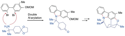 Figure 14. Dihalogen-substituted biphenyls and primary amines as raw materials for the total synthesis of (±)-Murrayazoline.
