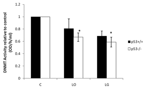 Figure 4 Total DNMT activity. Activity levels of total DNMTs were measured with EpiQuik™ DNA Methyltransferase Activity/Inhibition Assay Kit. Nuclear protein was isolated from p53+/+ and p53-/- HCT116 cells after 24 h in control (C), low oxygen (LO) and low glucose (LG). The assay measures the amount of DNA methylation, which is proportional to DNMT activity. The average of four independent experiments with standard error is shown. *indicates p ≤ 0.05 relative to cell type respective control.