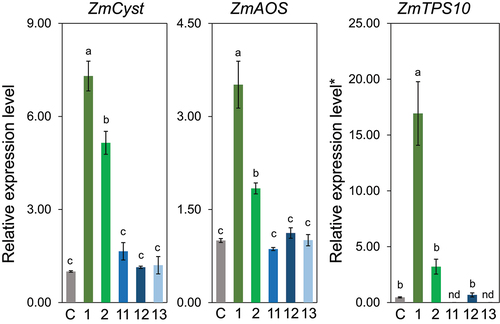Figure 6. Effect of alkyl chain length at the ω-side in (Z)-3-alken-1-ol (compounds 2, 11, 12, and 13) on the expression levels of ZmCyst, ZmAOS, and ZmTPS10. Values represent means ± SEM (n=4). Different letters indicate significant difference (P<0.05, one-way ANOVA followed by Fisher’s LSD).