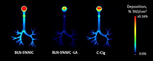 Figure 10. The average coronal projection images of nicotine retention in the respiratory tract cast at room temperature (22 °C) and 51% relative humidity (RH), expressed as a fraction of the total administered dose (%TAD). The averages are from four independent experiments per condition.