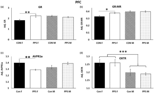 Figure 2. PFC. PPS increased (a) GR and (b) GR:MR ratio and decreased (c) AVPR1a in the female PFC. OXTR expression was higher in female than male PFC. Con: control; PPS: pre-pubertal stress; F: female; M: male. Male: 12 control; 10 PPS; female: 8 control; 10 PPS. *p < .05, **p < .01, ***p < .0001. Error bars represent 1 S.E. and bars joined by a line and asterisk are significantly different to one another.