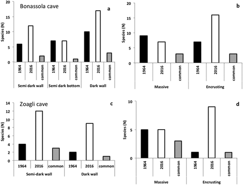 Figure 4. (a, c) Number of sponge species recorded in the different zones and in both sampling periods within the two studied caves. (b, d) Number of sponge species in both caves according to different growth patterns and sampling periods.