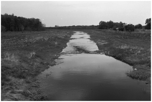 Figure 11 Fish passable rock riffles were constructed in the Mink Creek drain below Provincial Trunk Highway 20 in 1985. The reduced gradient between riffles stopped bed erosion and bank collapse and created a continuous low flow path to Lake Dauphin for walleye spawning and fry drifting back to the lake. The reach is shown in 1995, 10 years after construction. The thalweg of the flow has developed an alternating path between riffles but there is insufficient energy in the pools to initiate meandering.