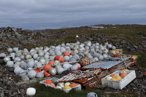 Figure 4. Beach harvesting, Melrakkaslétta, Iceland. Copyright: Þóra Pétursdóttir.