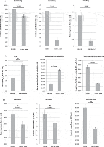 Figure 7. Phenotypic characteristics of the wild type or hbd-knock-out Clostridium butyricum CB1002 (a and b) and Clostridium neonatale 250.09 (c) strains. Data presented are the average of 3 independent experiments.