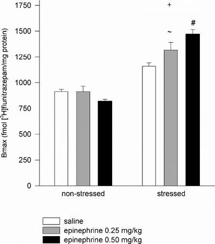 Figure 2 Binding maximum of [3H]-flunitrazepam in forebrain synaptosomes from non-stressed and stressed chicks following epinephrine administration. Epinephrine (0.25 and 0.50 mg/kg bw) or saline was administered ip 15 min before chicks were killed. Bars represent the means ± SEM, n = 10–14 per group. +p < 0.01 compared to corresponding treatment in the non-stressed condition. ~ p < 0.01 compared to saline in the stressed condition. ~ p < 0.01 compared to saline and epinephrine 0.25 mg/kg, in the stressed condition (Newman–Keuls test).