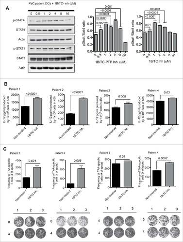 Figure 7. Application of 1B/TC inh-treated human DCs in cancer immunotherapy. (A) Activation status of STAT1 and STAT4 in 1B/TC inh-treated human moDCs derived from a pancreatic cancer (PaC) patient (n = 3). (B) IL-12 production by 1B/TC inh-treated human moDCs from four PaC patients. (C) Frequency of antigen-specific (CEA and CA19–9) activated T cells measured based on IFNγ production detected in ELISpot assay. The differences in more than two groups were determined using One-Way ANOVA (Holm–Sidak multiple comparison test) for parametric and Dunn's multiple test for non-parametric. The differences between two groups were determined with unpaired t-test (two tails of distribution). Significant differences are represented by p values <0.05.