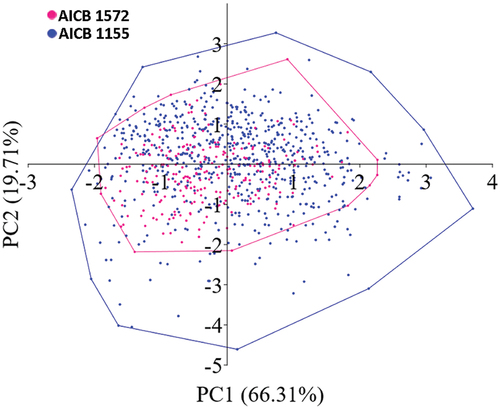 Fig. 3. Scatter plot of principal component analysis (PCA) indicates a near-complete overlap between cell measurements for AICB 1155 and AICB 1572. (The axis labels indicate the % variance explained by the two principal components (PC)).