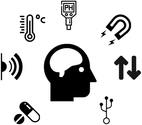 Figure 6. Possible technologies to be integrated in a future neural interface: local temperature and pH sensing, magnetic stimulation, drug delivery embedded functionalities, infrared-based communication module, reliable bidirectional communication and even brain-to-brain connectivity. Flexible electronics represents a promising ally to make it possible.