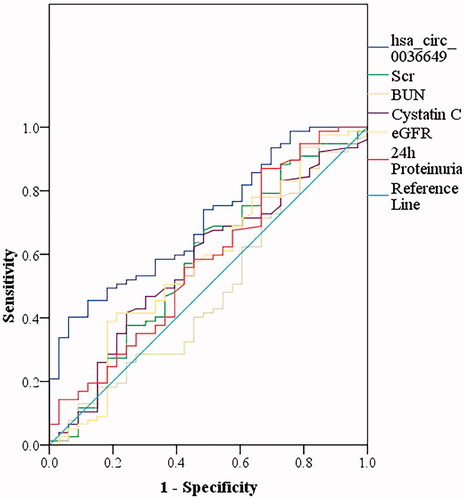 Figure 6. The receiver operating characteristic (ROC) curve showed the diagnosis value of the urine exosomes hsa_circ_0036649 for renal fibrosis. ROC curve showed the urine exosomes hsa_circ_0036649 distinguished renal fibrosis (AUC of 0.706, 95% CI, 0.606–0.807; p = .001).