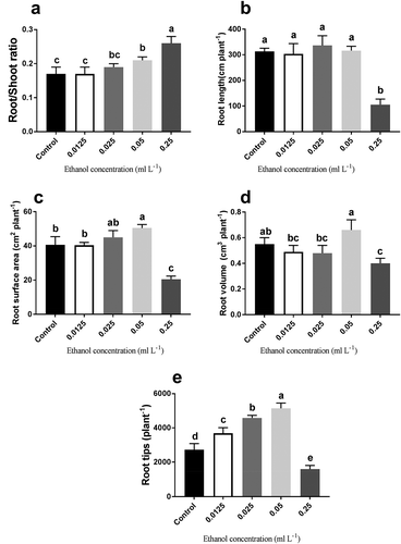 Figure 3. The root/shoot ratios and root characters of oilseed rape with different ethanol treatments.