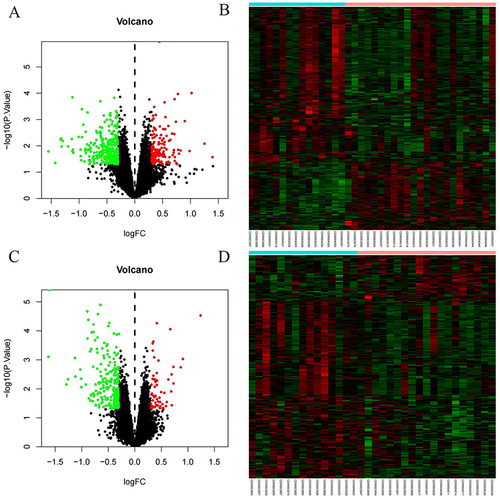 Figure 2 Volcano map and Heatmap of DEGs (A) Volcano map of DEGs after six months of treatment (B) Heatmap of DEGs after six months of treatment (C) Volcano map of DEGs after 30 months of treatment (D) Heatmap of DEGs after 30 months of treatment. Red: up-regulation; green: downregulation.