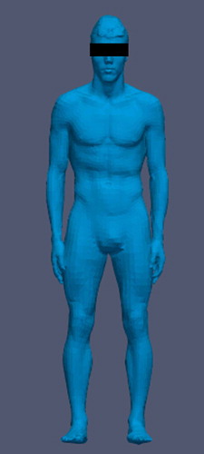 Figure 3. Example of a processed 3D scan