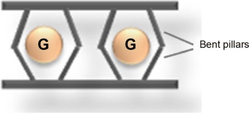 Figure 5 A scheme depicting a layered network with porosity by “bent” pillars (G represents guest molecules).