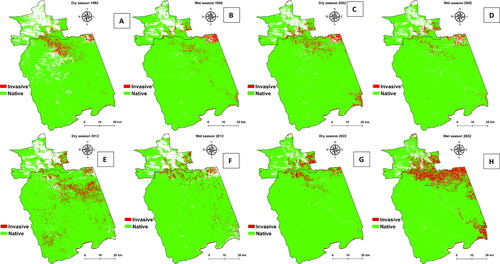 Figure 3. (A–H) Seasonal spatial distribution of invasive vegetation plant species from 1992 to 2022 (with 10-year intervals); the white parts represent classes that were excluded or masked out.