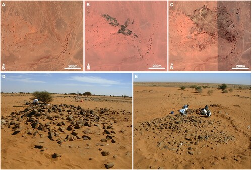 Figure 8. The Post Meroitic cemetery 10-U-3 from Google Earth™ satellite imageries progressively and rapidly devastated by quarrying activity: (A) in 2014, (B) in 2016, (C) in 2019. (D-E) Field pictures of stone tumuli.