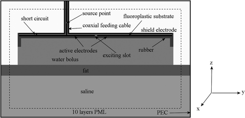 Figure 3. Longitudinal cross-section (yz plane) of the modelled geometry. The computational domain is surrounded by 10 nearly perfectly matched layers (PML) and a perfect electric conductor (PEC) in all directions.