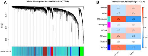 Figure 3 Weighted gene coexpression network analysis of gene expression profiles between early hepatocellular carcinoma and normal controls. (A) Gene dendrogram. (B) Module-trait relationships. Genes in modules are marked with different colours (brown, red, pink, green, black, magenta, blue and turquoise).