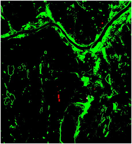 Figure 6. CAE confusion map, with predicted changes in green, predicted unchanged in black, correctly classified forest mortality from our limited ground reference dataset marked white, and red showing missed detections from the same dataset.