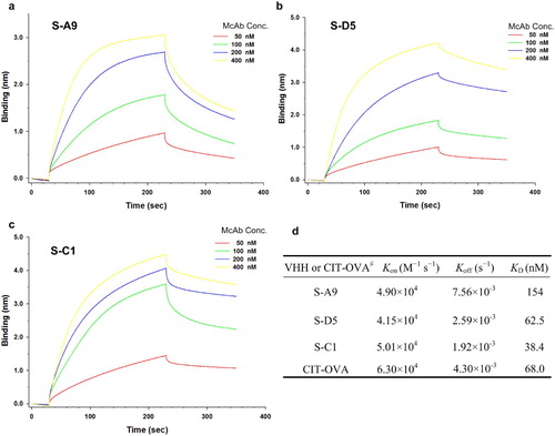 Figure 3. The kinetics binding analysis of AI-VHHs to McAb 4G6 was performed by bio-layer interferometry (BLItz) Hexa-Histidine fused VHH was immobilized on Ni-NTA biosensors. (a-c) Sensorgrams showing the interaction between VHH (S-A9, S-D5, S-C1) and anti-CIT McAb, respectively. (d) The results of determination of kinetics and equilibrium dissociation constants. # The kinetic binding result of CIT-OVA to McAb was determined in our previous study (Xu et al., Citation2015a).