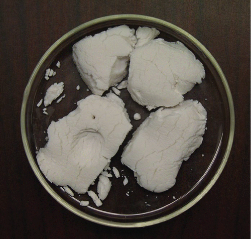 FIG. 2 Silica aerosol gels prepared using oxygen as the oxidizer and nitrogen as a background gas when the silane to oxygen molar ratio was 0.5 (stoichiometric). The dish is 9 cm in diameter.