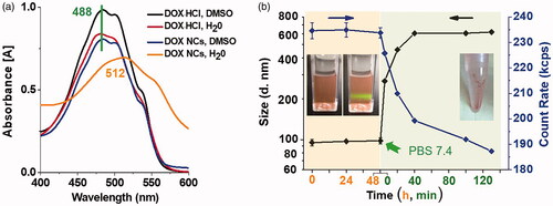 Figure 4. (a) UV-vis absorption of DOX•HCl and DOX NCs in different solvents. (b) The mean diameter and count rate change (form DLS measurement) of DOX NCs in water or physiological saline. The inserted photos (b, left) was the DOX NCs in aqueous solution with Tyndall effect and in physiological saline after being left for 12 h.