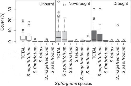Figure 1. Sphagnum cover on September 2015, when time since fire ranged 306–705 days (mean = 514) for the different burns. Values are shown for all species identified as well as total Sphagnum cover (‘total’) in each treatment: unburnt, low severity burnt (‘no-drought’) and high severity burnt (‘drought’). Average Sphagnum cover was 6.3% (SD = 8.7%) across all plots. Height of the box is the interquartile range, the horizontal bar is the median, whiskers extend to 1.5 times the first or third quartile, circles are outliers. The same letters above the boxplots of total Sphagnum cover indicate that differences between treatments were not statistically significant (α = 0.05). Statistical testing details are provided in Table S1.