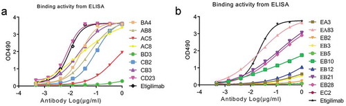 Figure 6. The EC50 value of antigen-binding activity in ELISA assay of the scfv fusion Fc eukaryotic expression monoclonal antibody.(a) The binding activity of the monoclonal antibodies of BA4, AB8, AC5, AC8, BD3, CB2, CB3, CD23, and Etigilimab. (b) The binding activity of the monoclonal antibodies of EA3, EA83, EB2, EB3, EB5, EB10, EB12, EB21, Eb28, EC2, and Etigilimab. The black curve indicates the positive control antibody-binding activity.