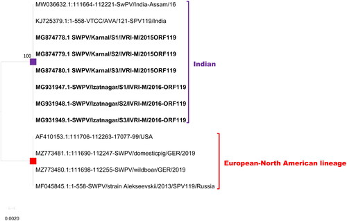 Figure 7. Evolutionary relationships of ORF 119 of Indian SWPV with the USA, and Germany SWPV isolates. The isolates of the current study are shown in bold letters.