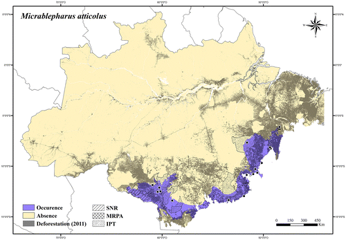 Figure 54. Occurrence area and records of Micrablepharus atticolus in the Brazilian Amazonia, showing the overlap with protected and deforested areas.