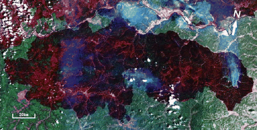 Figure 3.  Landsat image segment of the major forest fire in N.E. China in 1987 (image courtesy of CEODE).
