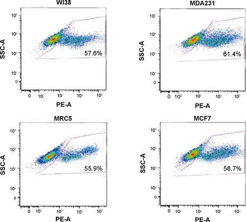 Figure S1 FACS analysis of the infection efficiency in MDA231, MCF7, WI38, and MRC5 cells.