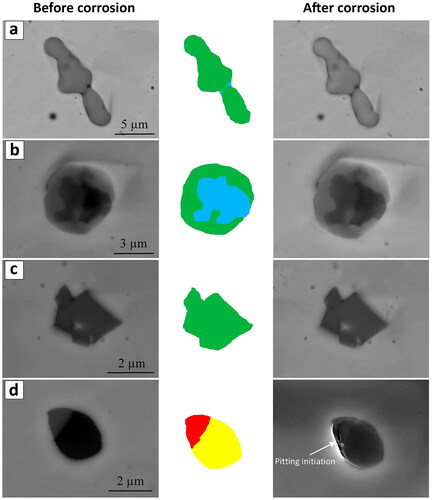 Figure 54. SEM micrographs of the inclusions before Exposing to 6 wt. % ferric chloride solution (left column) and after that (right column). the chemical composition of the inclusions is shown schematically in the middle column in which green color represents the manganese chromite, blue color is manganese silicate, yellow color is silicon oxide, and red color is MnS (Reproduced with permission from[Citation360]).