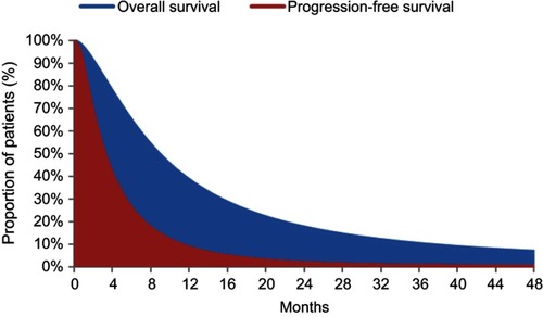 Figure 2 Progression-free survival and overall survival curves.