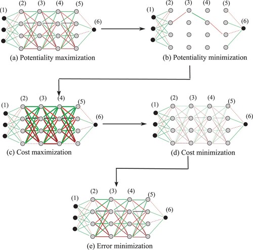 Figure 3. Actual network configurations, corresponding to five computation procedures: potentiality max, potentiality min, cost max, cost min, and error minimisation in Figure 2.