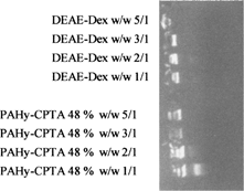 FIG. 4 Gel retardation assay confronting retardation capacity of PAHy-CPTA (48%) and DEAE-Dex ratios w/w 1/1, 2/1, 3/1, 5/1.