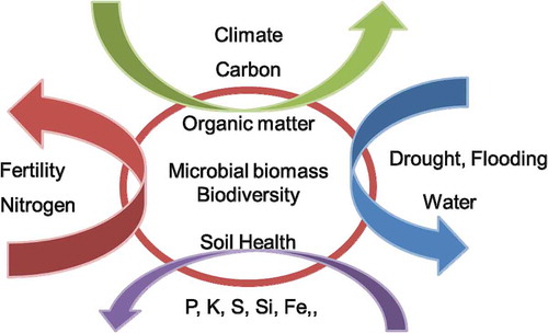 Figure 4. Bio-elements and soil multi-functions