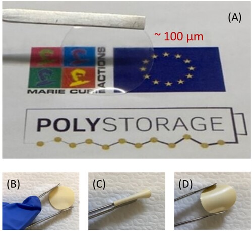 Figure 2. Digital photos showing the UV-polymerised self-standing electrolytes under study: (A) the prepared thin and ready-to-use ionogel solid electrolyte membrane (∼100 µm thickness), and the fabricated composite ionogel electrolyte (B). All composite membranes demonstrate good flexibility and mechanical robustness after multiple times being folded (C) and then released (D).